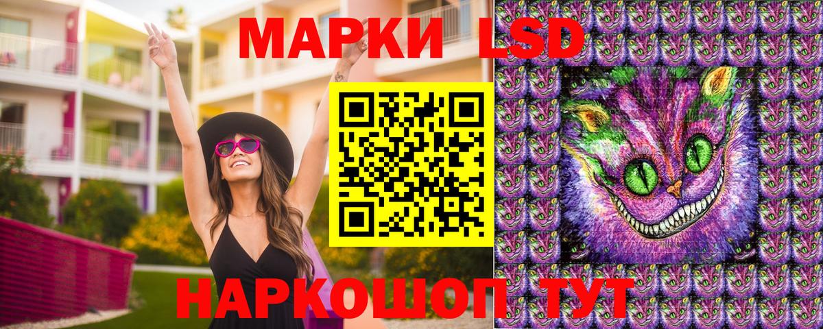  COCAIN Каменск-Шахтинский