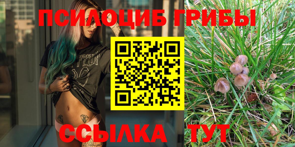 Псилоцибиновые грибы мицелий  Вход с VPN  Каменск-Шахтинский 