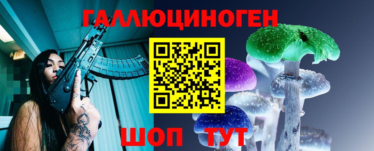 Галлюциногенные грибы Psilocybe Каменск-Шахтинский